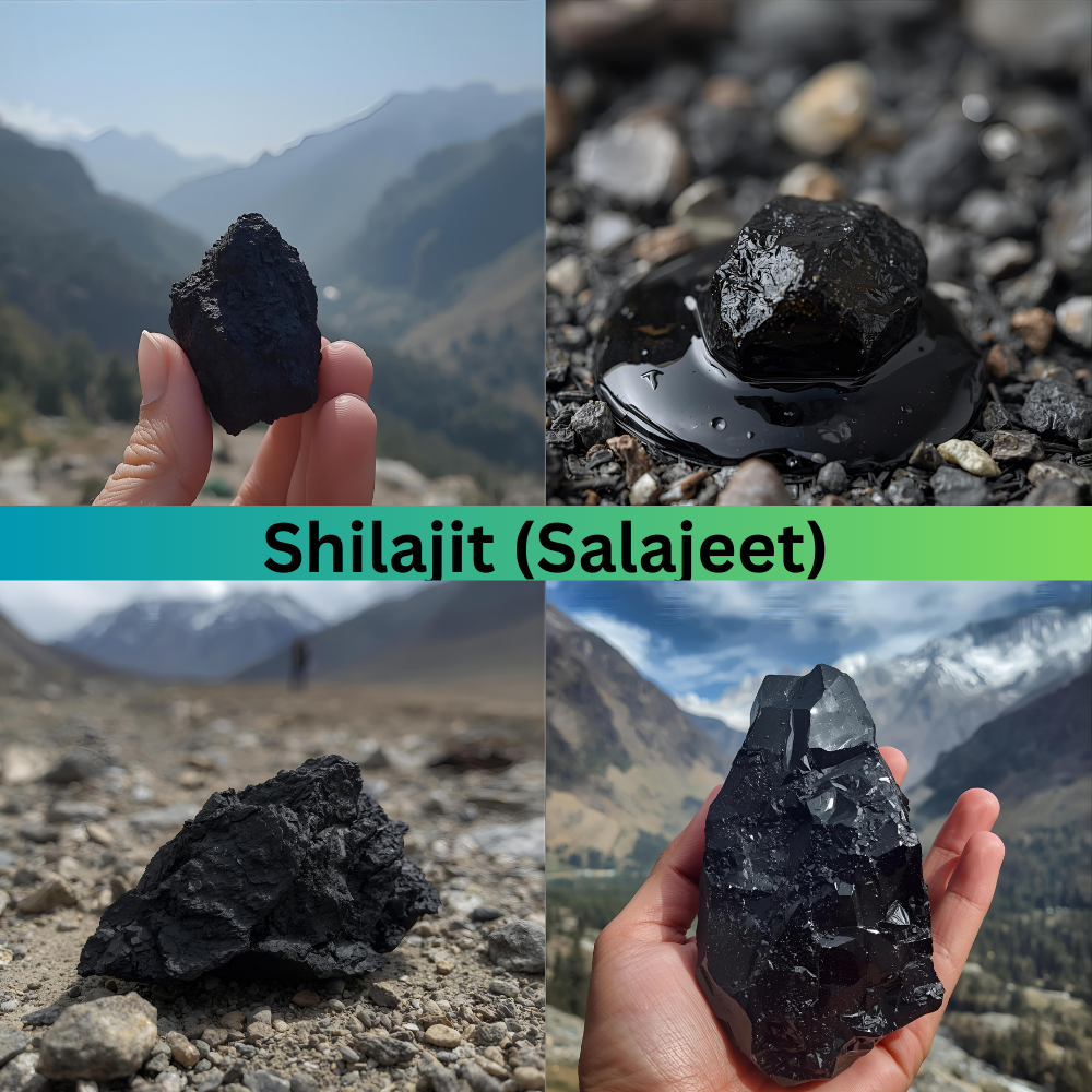 Pure Shilajit resin sourced from the mountains of Skardu, Gilgit-Baltistan, presented in a small glass jar with natural rocky background.