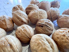 Kaghzi Walnuts – Soft Shell Walnuts from Gilgit-Baltistan