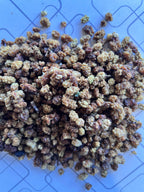 Dried Mulberries – Naturally Sweet &amp; Nutrient-Rich