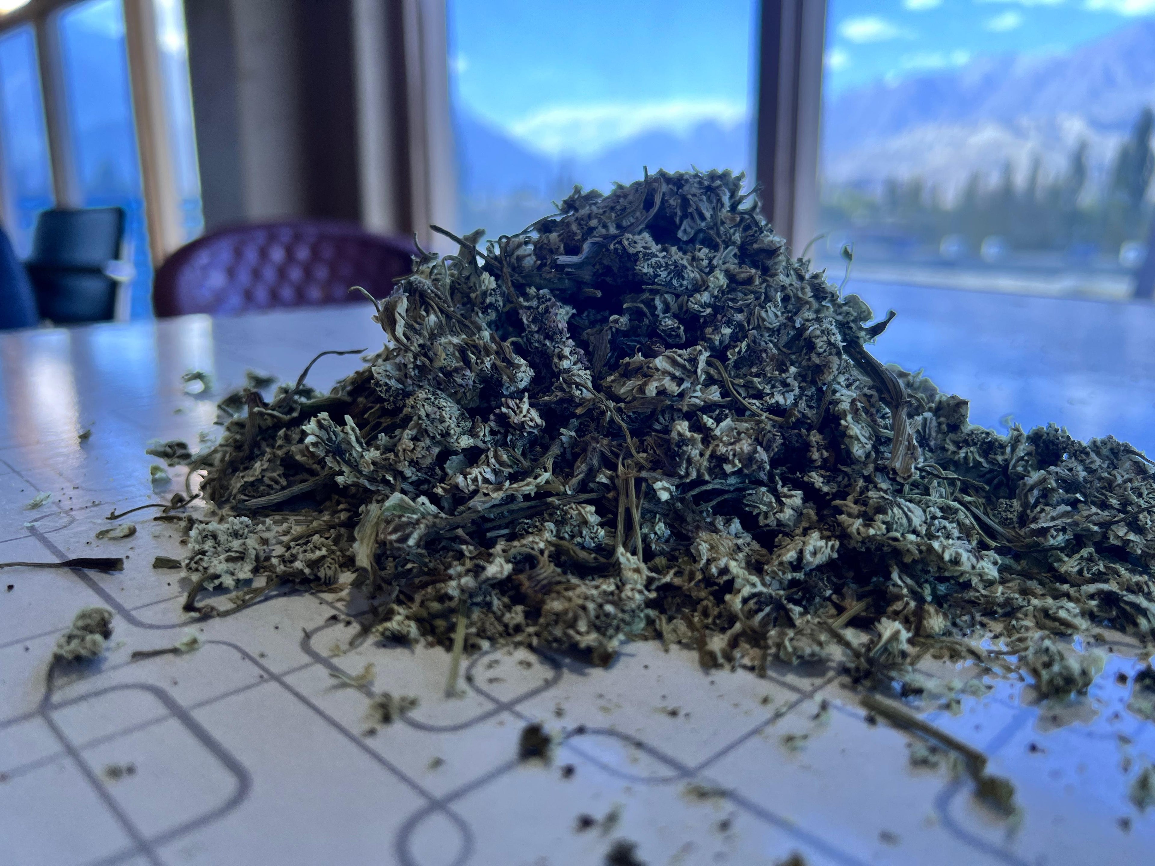 Shamdun (شمدن) – Wild Herbal Tea from Gilgit Baltistan
